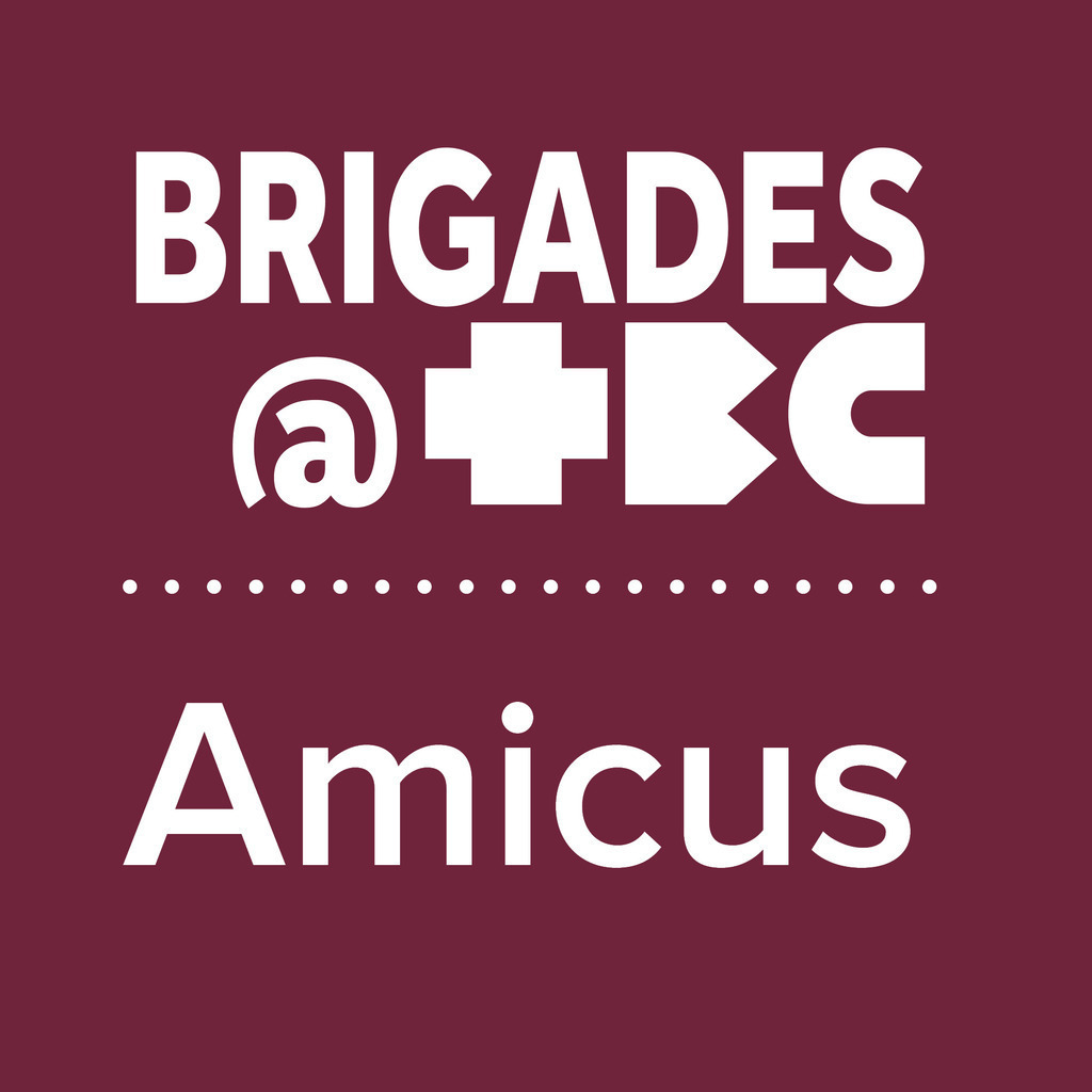 Amicus Amicus
