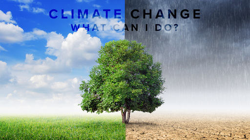 Climate Change - what can I do?