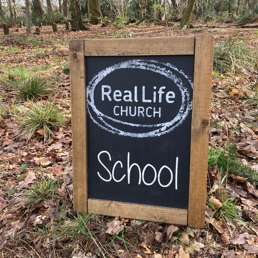 Real Life School