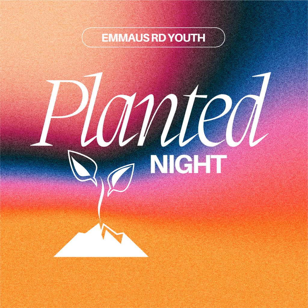 PLANTED Night