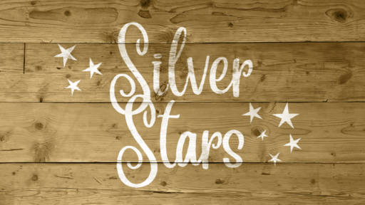 Silver Stars / Our Adventures in Antarctica
