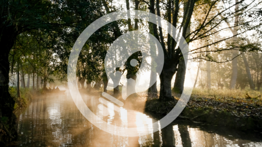 Illuminate Sunday Mornings