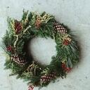 Christmas Wreath Making with Floetica London