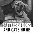 An Evening with Battersea Dogs & Cats, at Battersea Park Library