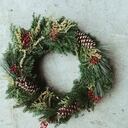 Christmas Wreath Making at Vauxhall City Farm