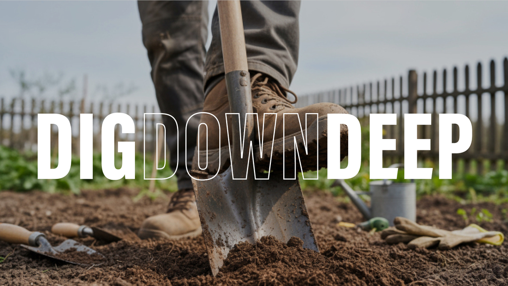 Dig Down Deep