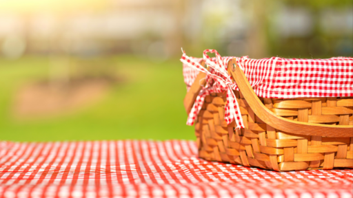 Picnic in the Park cover image