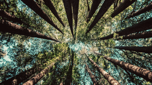 21 Days of Prayer cover image