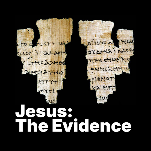 Jesus the Evidence artwork