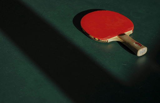 Adult Table Tennis