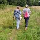 Sunday Strolls artwork